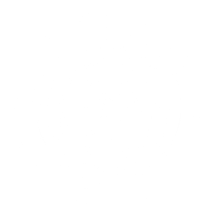white star lens flare